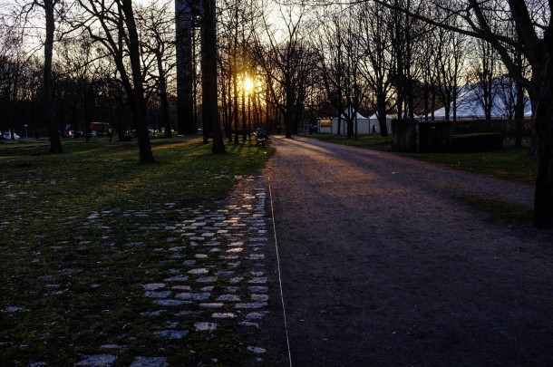 tiergarten_berlín (2)