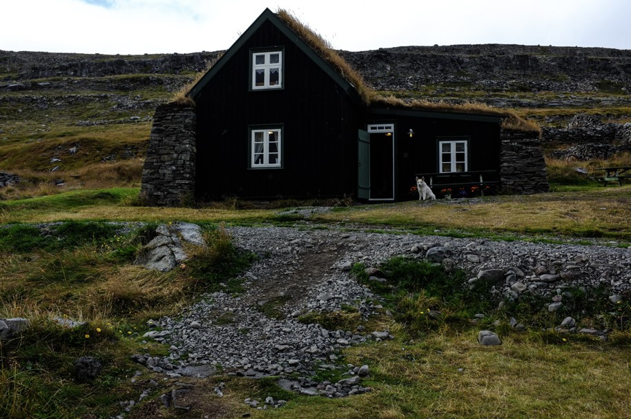 západní fjordy island (1)